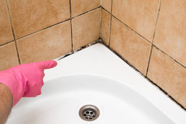 Best Professional Mold Removal  in Ojus, FL